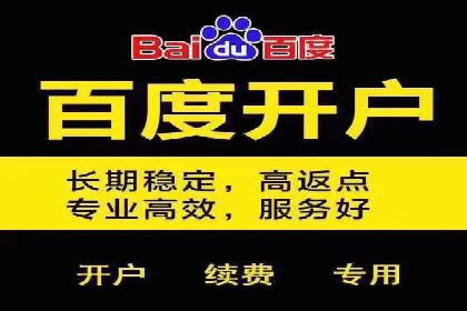 竞价广告赚钱秘籍：百度实战案例